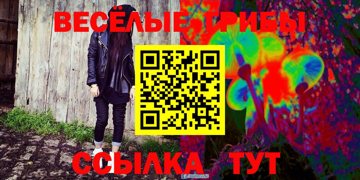Северск  Галлюциногенные грибы мицелий  Вход с VPN  Псилоцибиновые грибы GOLDEN TEACHER 